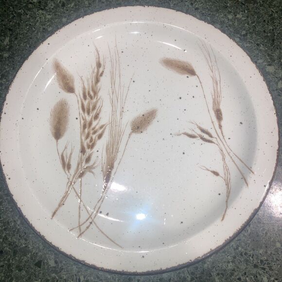 Stonehenge Midwinter Wild Oats 10 1/2" Dinner Plates Set of 4 - Picture 1 of 2